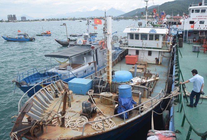 Chậm trả nợ vay đóng tàu theo Nghị định 67: Ngư dân đối mặt nguy cơ hầu tòa Con tàu vỏ thép trị giá 12 tỷ đồng của ngư dân Phan Thu nay đành nằm bờ do hoạt động không hiệu quả