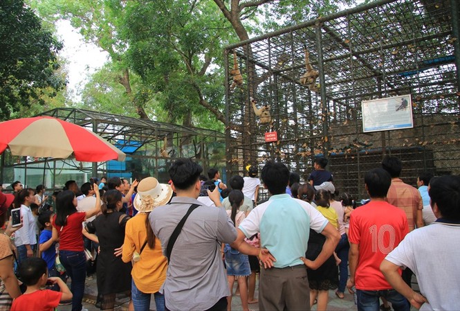 Xu hướng du lịch 'xanh' tăng mạnh Vườn thú Hà Nội những ngày nghỉ lễ