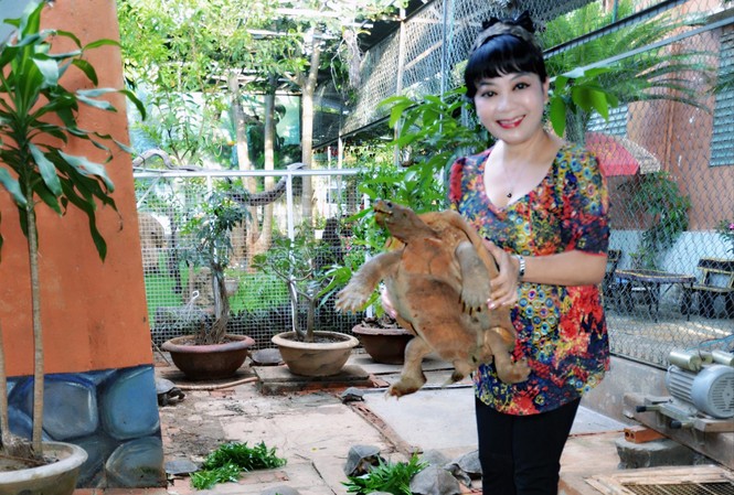 20 năm nuôi rùa để... ngắm Tác giả với con rùa hơn 10 kg và đã 20 tuổi