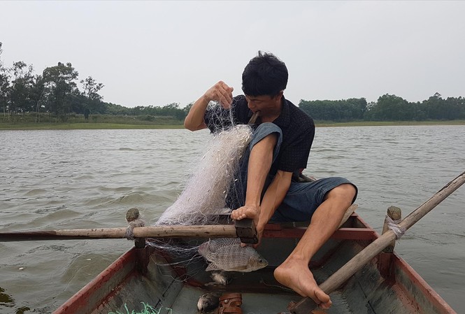 Phận người gạo chợ, nước sông Anh Nguyễn Văn Trang thu mẻ lưới đầu tiền của ngày mới trên hồ Suối Hai (Ba Vì)