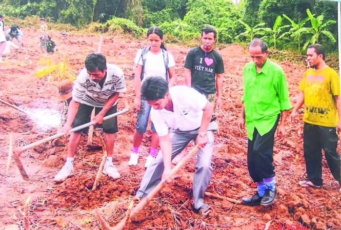 Các thành viên “Câu lạc bộ trăm triệu” hướng dẫn cho các đại biểu nông dân Đông Timor cách cuốc đất trồng sắn