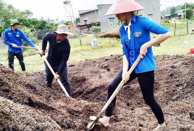 Cưỡi công nông đi giúp dân cứu rẫy cà phê SV ĐH Đà Lạt hướng dẫn người dân ủ phân vi sinh Ảnh: ĐTĐL