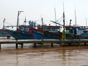 Các địa phương sẵn sàng ứng phó với bão số 5 Các địa phương sẵn sàng ứng phó với bão số 5