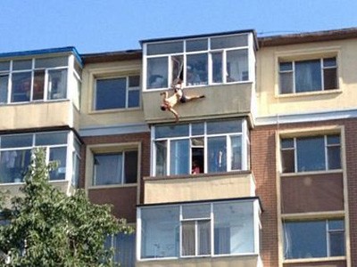 Thót tim cảnh vợ cứu chồng khỏi cú nhảy lầu tự tử Thót tim cảnh vợ cứu chồng khỏi cú nhảy lầu tự tử