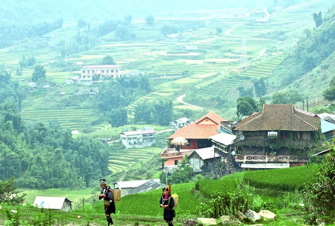 Rủ nhau lên rừng, xuống biển Rủ nhau lên rừng, xuống biển