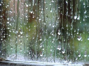 Hà Nội mưa, trời rét Hà Nội mưa, trời rét