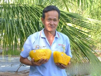Lạ lẫm bưởi hình thỏi vàng, hồ lô ở Hậu Giang Lạ lẫm bưởi hình thỏi vàng, hồ lô ở Hậu Giang