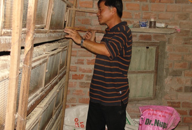 Đề xuất gói tín dụng 9.000 tỷ đồng cứu ngành chăn nuôi Đề xuất gói tín dụng 9.000 tỷ đồng cứu ngành chăn nuôi