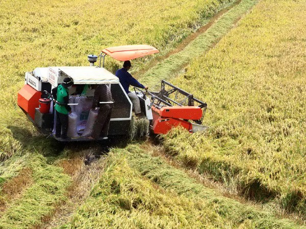 Phải bàn giao trên thực địa cho từng địa phương Phải bàn giao trên thực địa cho từng địa phương
