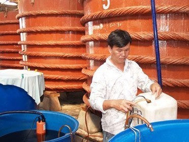 Nước mắm Phú Quốc được bảo hộ tên gọi xuất xứ tại EU Nước mắm Phú Quốc được bảo hộ tên gọi xuất xứ tại EU
