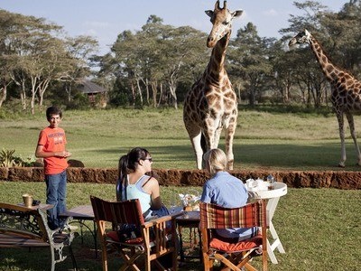 Ăn tối cùng hươu cao cổ ở Nairobi Ăn tối cùng hươu cao cổ ở Nairobi