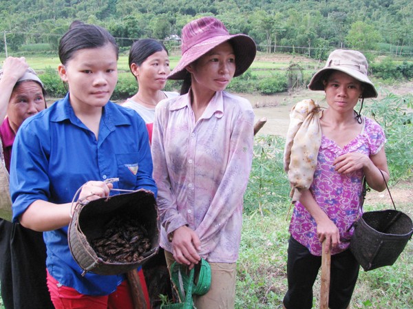 Đào bắt dế ven sông đem bán Đào bắt dế ven sông đem bán