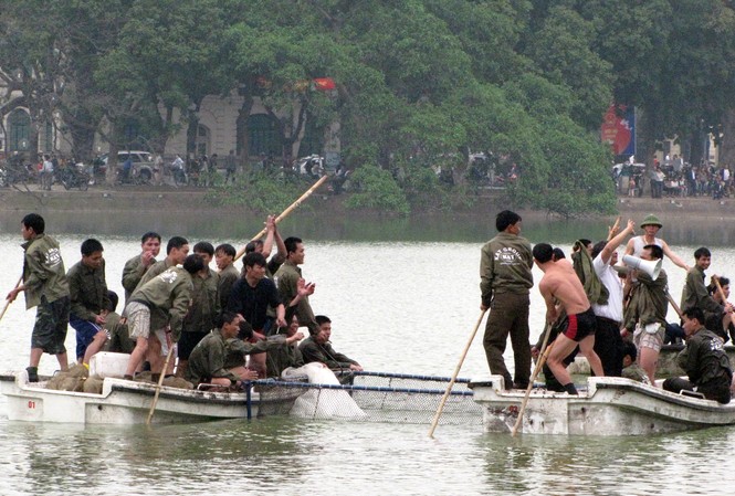 Rùa Hồ Gươm đã vào khu điều trị Rùa Hồ Gươm đã vào khu điều trị