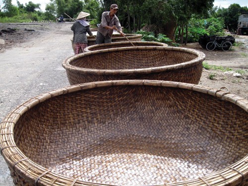Xuất khẩu thuyền thúng Xuất khẩu thuyền thúng