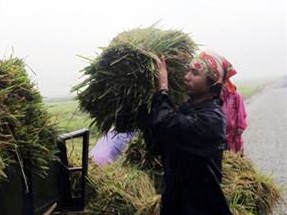 Miền Trung chạy bão Miền Trung chạy bão