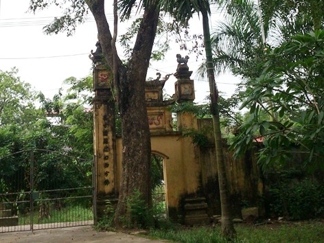 Xôn xao chuyện rao bán 'cụ sưa' 50 tỷ đồng Xôn xao chuyện rao bán 'cụ sưa' 50 tỷ đồng
