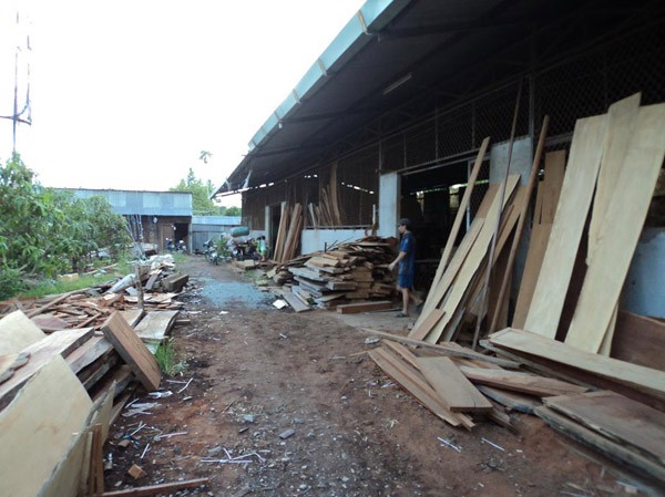 Khổ vì tin theo quy hoạch Cơ sở chế biến gỗ Ánh Quang. Ảnh: Sáu Nghệ