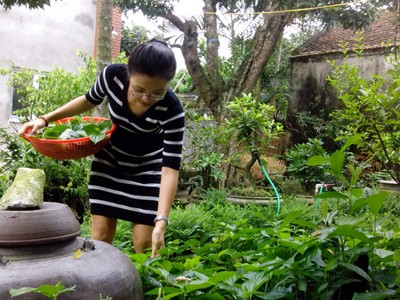 Phía Đông có gì lạ Phía Đông có gì lạ