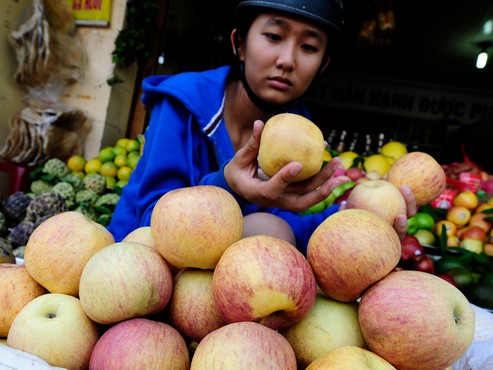 Táo, lê TQ vào VN giá... 4000 đồng/kg Táo, lê TQ vào VN giá... 4000 đồng/kg
