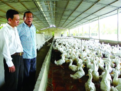 Bảy hạt lúa & trang trại Vàng Bảy hạt lúa & trang trại Vàng