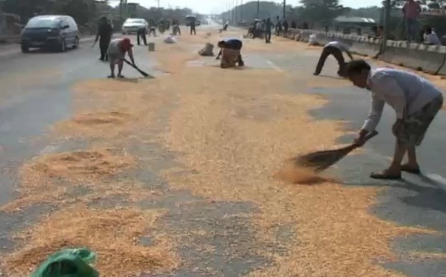 Xe chở ngô đổ ra đường, người dân lao vào hôi của Xe chở ngô đổ ra đường, người dân lao vào hôi của