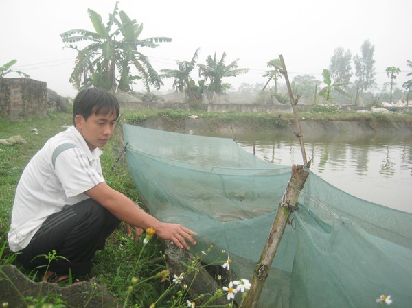 Triệu phú ếch Anh Đạo bên ao nuôi ếch. Ảnh: D.N
