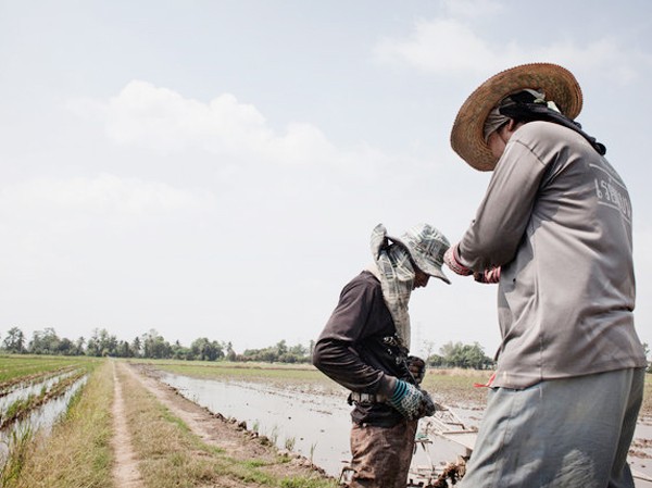 Khi làng quê vắng bóng thanh niên Làng Baan Khlong khoo vắng bóng thanh niên