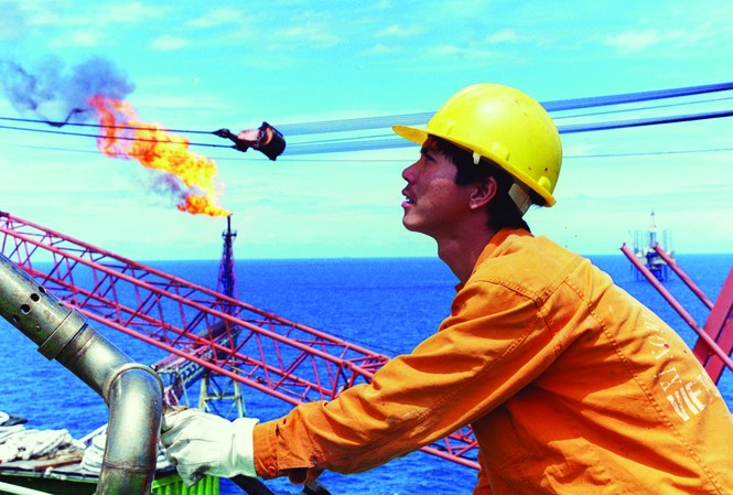 Tôn vinh thành quả cộng đồng doanh nghiệp Việt Tôn vinh thành quả cộng đồng doanh nghiệp Việt