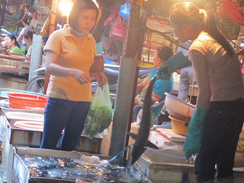 Thương lái Trung Quốc: Lộ rõ ý đồ phá hoại Thương lái Trung Quốc: Lộ rõ ý đồ phá hoại