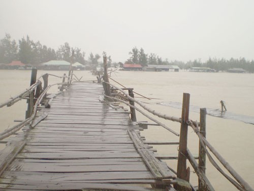Gẫy cầu, 12 du khách rơi xuống nước Gẫy cầu, 12 du khách rơi xuống nước