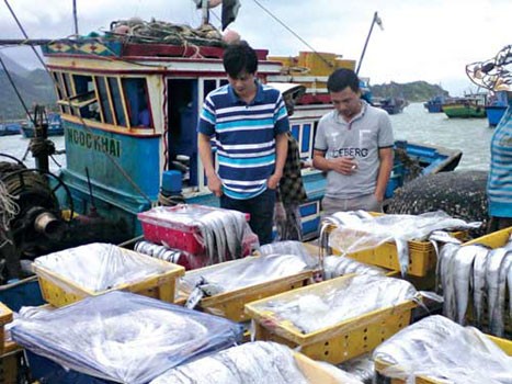 'Siết' hoạt động thu mua hàng hóa của thương lái Trung Quốc 'Siết' hoạt động thu mua hàng hóa của thương lái Trung Quốc