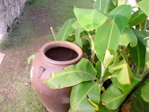 Mẹ bỏ con ba tháng tuổi vào lu nước rồi tự tử Mẹ bỏ con ba tháng tuổi vào lu nước rồi tự tử