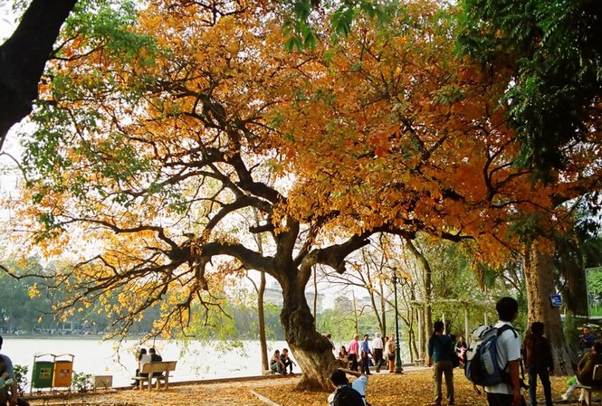 Hà Nội sẽ có thêm phố đi bộ Hà Nội sẽ có thêm phố đi bộ