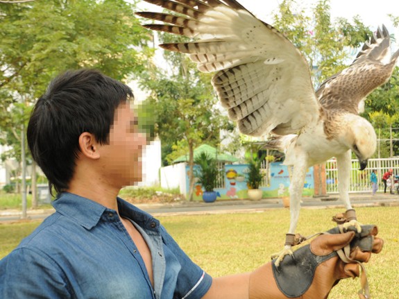 Săn đại bàng Săn đại bàng