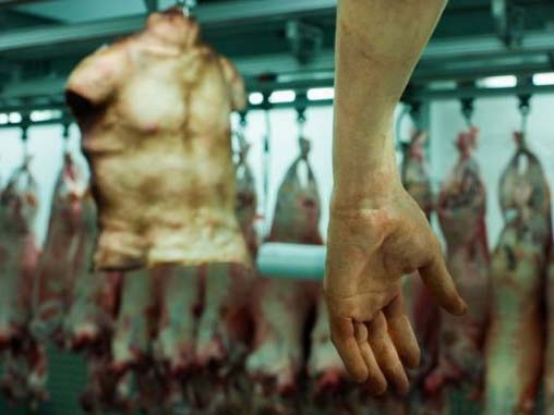Cửa hàng bán 'tay, chân'… làm từ thiện Cửa hàng bán 'tay, chân'… làm từ thiện