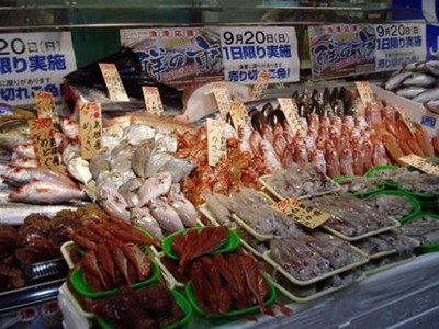 DN Nhật muốn rời Thái Lan, Trung Quốc sang Việt Nam DN Nhật muốn rời Thái Lan, Trung Quốc sang Việt Nam