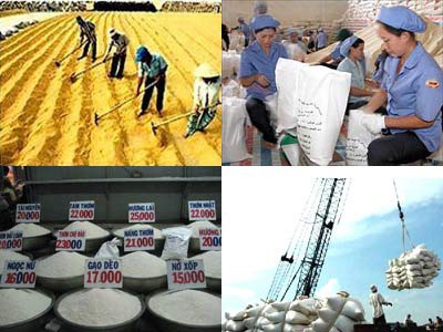 "Việt Nam cần phải cải cách kinh tế vĩ mô hơn nữa"