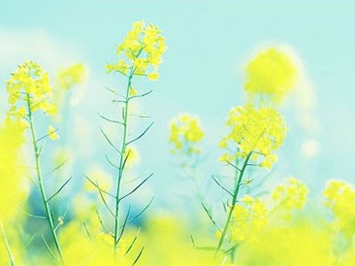 Tuần của bạn (26 - 9 đến 2 - 10) Tuần của bạn (26 - 9 đến 2 - 10)
