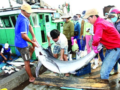 TQ ngang ngược “cấm biển”: Ngư dân Việt không chùn bước TQ ngang ngược “cấm biển”: Ngư dân Việt không chùn bước