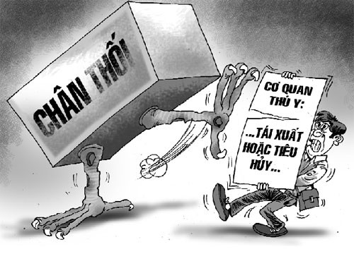 Hơn 100 tấn chân gà thối 'biến mất' Hơn 100 tấn chân gà thối 'biến mất'