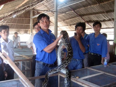 Đoàn giúp thanh niên nông thôn làm giàu Đoàn giúp thanh niên nông thôn làm giàu