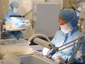 Phát hiện vi khuẩn đỏ giúp vết thương mau lành Phát hiện vi khuẩn đỏ giúp vết thương mau lành