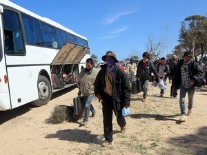 Hơn 1.000 lao động từ Libya về tới cảng Cái Lân Hơn 1.000 lao động từ Libya về tới cảng Cái Lân