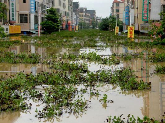 Trung Quốc chìm trong biển nước, 54 người chết Trung Quốc chìm trong biển nước, 54 người chết
