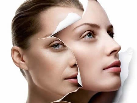 Đệ nhất thực phẩm chống lão hóa Đệ nhất thực phẩm chống lão hóa