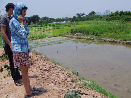 Bé gái 5 tuổi suýt bị dìm chết dưới ruộng rau Bé gái 5 tuổi suýt bị dìm chết dưới ruộng rau