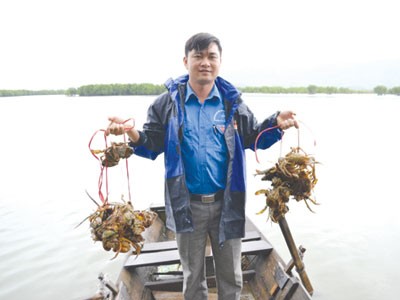 Vua tôm khu đầm trống Vua tôm khu đầm trống