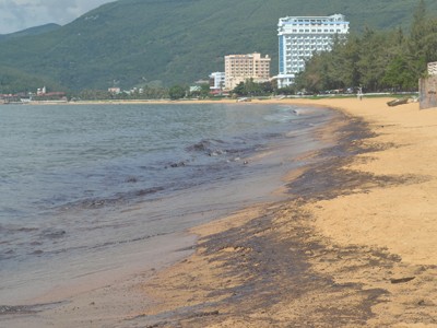 Dầu phủ đen biển Quy Nhơn, ngư dân khóc ròng Dầu phủ đen biển Quy Nhơn, ngư dân khóc ròng