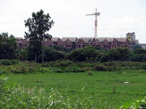 'Gia hạn thuế - liều thuốc chưa đủ để cứu địa ốc' 'Gia hạn thuế - liều thuốc chưa đủ để cứu địa ốc'