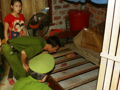 Xông vào nhà cướp gỗ sưa giữa ban ngày Xông vào nhà cướp gỗ sưa giữa ban ngày